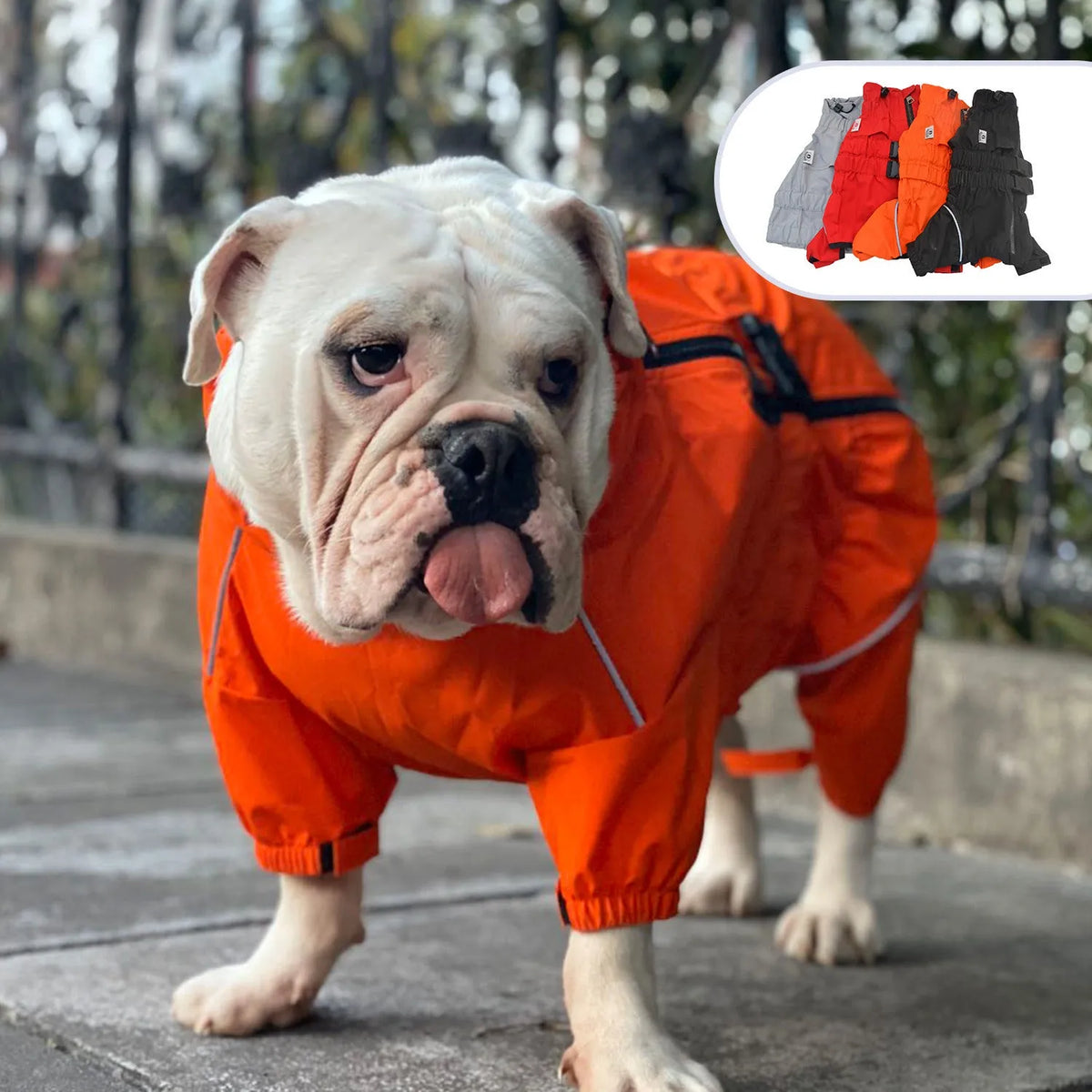 Four legged dog raincoat in polyester, available in black, orange and red, sizes XS to 5XL and B/D sizes