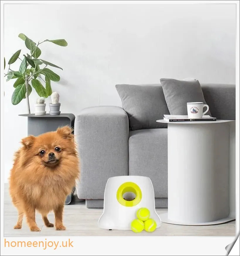 Automatic dog ball launcher with three distance control settings for indoor and outdoor play
