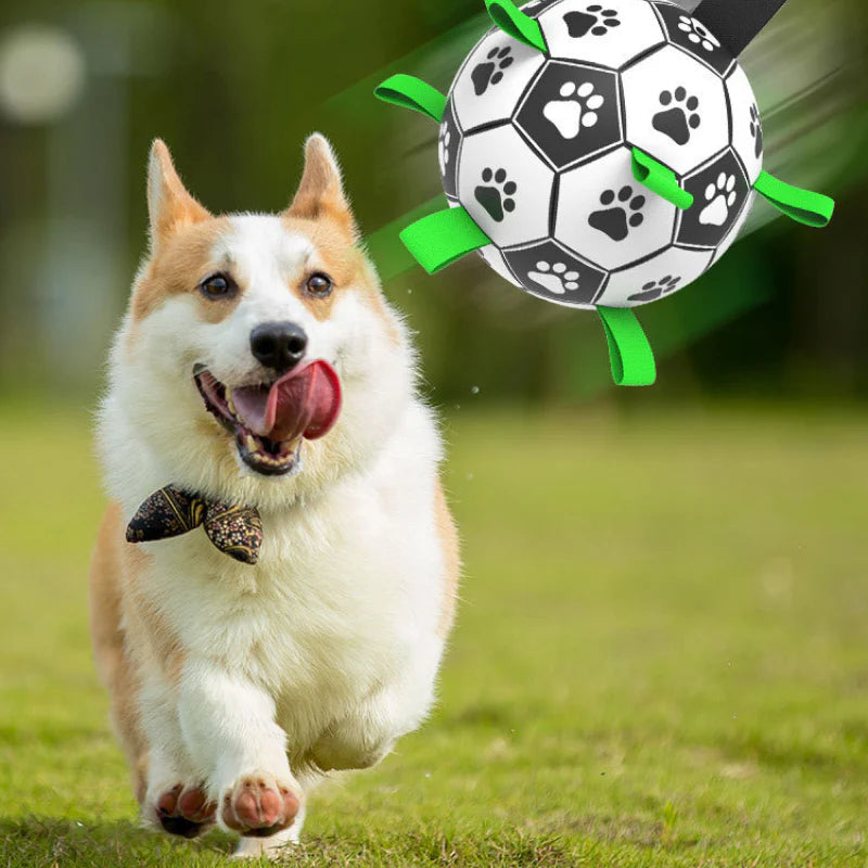 Durable leather interactive dog toy in football shape with grab tabs for outdoor fetch and chewing fun