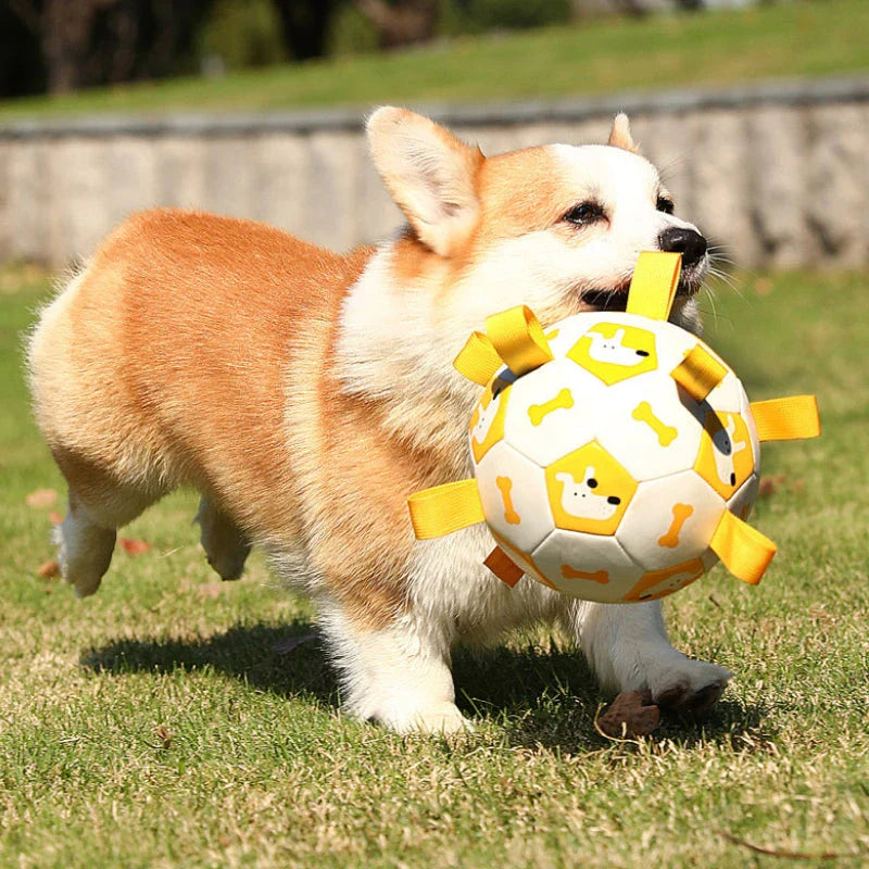 Homeenjoy_UK Interactive Dog Football Toy with Grab Tabs