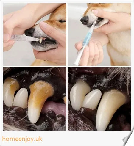 Dog Teeth Plaque Removing Pens - Innovative dual-pen system for comprehensive oral care