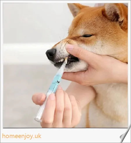 Dog Teeth Plaque Removing Pens - Innovative dual-pen system for comprehensive oral care