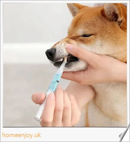 Dog Teeth Plaque Removing Pens - Innovative dual-pen system for comprehensive oral care