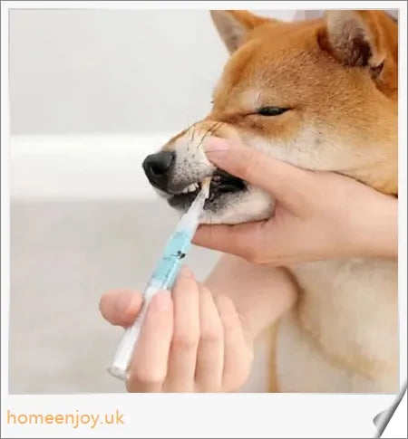 Dog Teeth Plaque Removing Pens - Innovative dual-pen system for comprehensive oral care