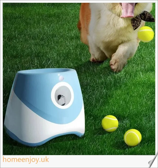 Automatic dog ball launcher toy in blue colour, with three tennis balls and a charging cable