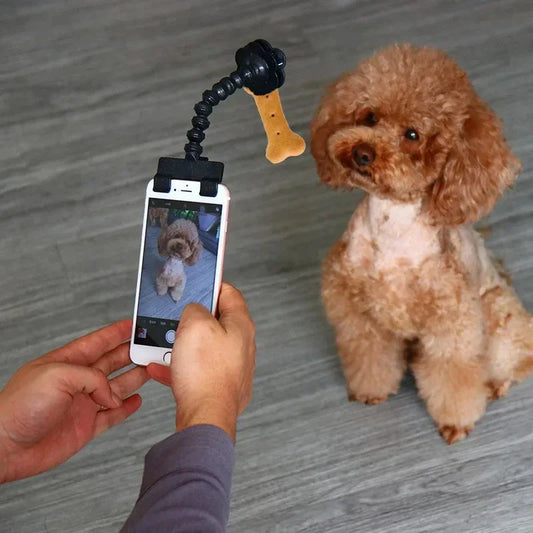 Multifunctional pet camera holder and selfie clip that securely attaches to your phone or mobile device and allows you to capture your furry friend's most playful moments with ease.