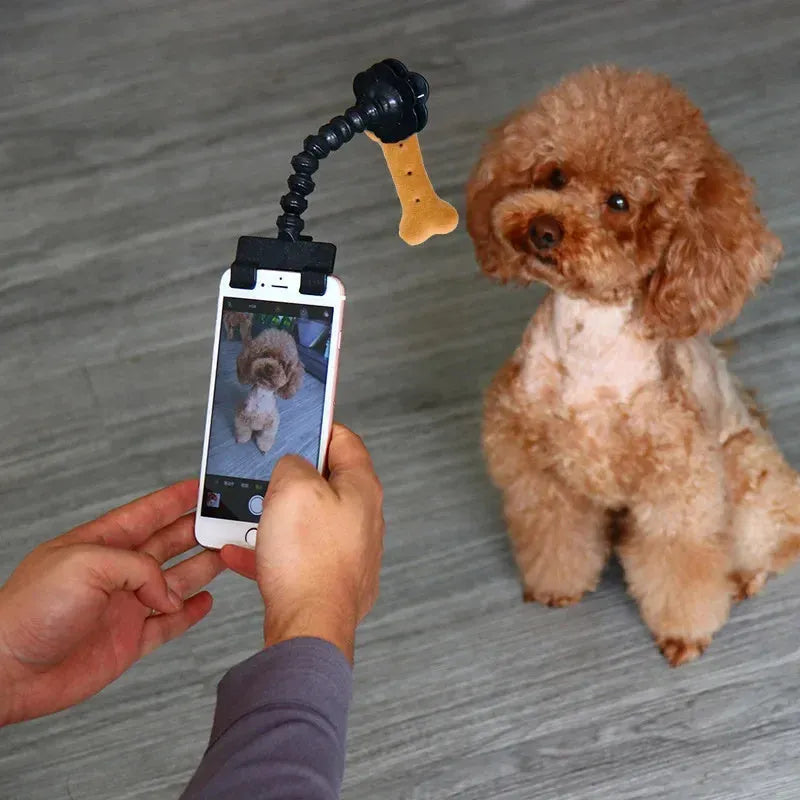 Black pet photography tool with rotating clip and phone holder for attracting pet attention during photos