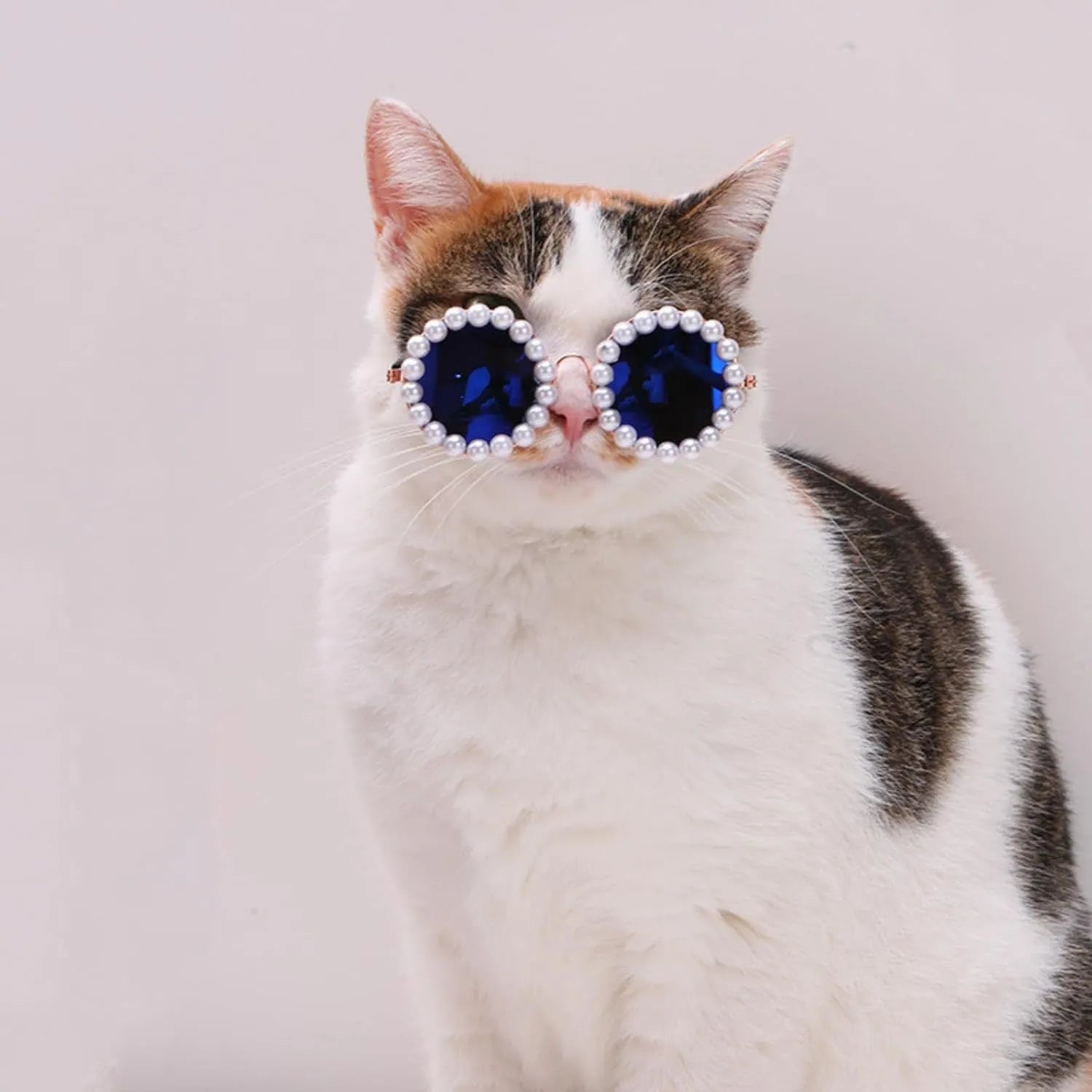 Pearl-trimmed round sunglasses for cats and dogs in five colour options