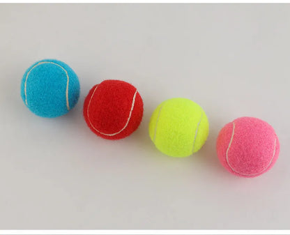 Rubber bite-resistant dog tennis ball in assorted bright colours, 6.3cm diameter.