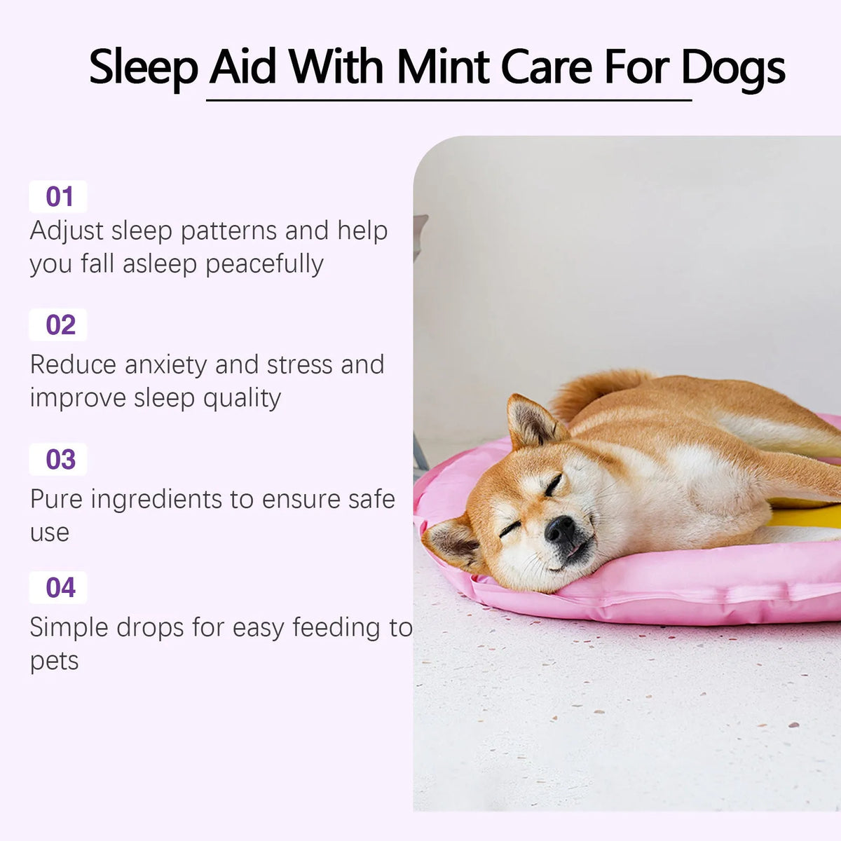 60ml bottle of dog sleep drops with mint extract for canine night care