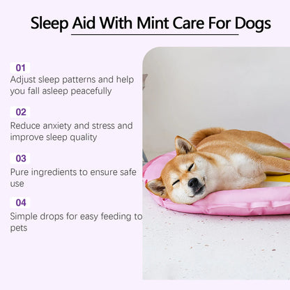 60ml bottle of dog sleep drops with mint extract for canine night care