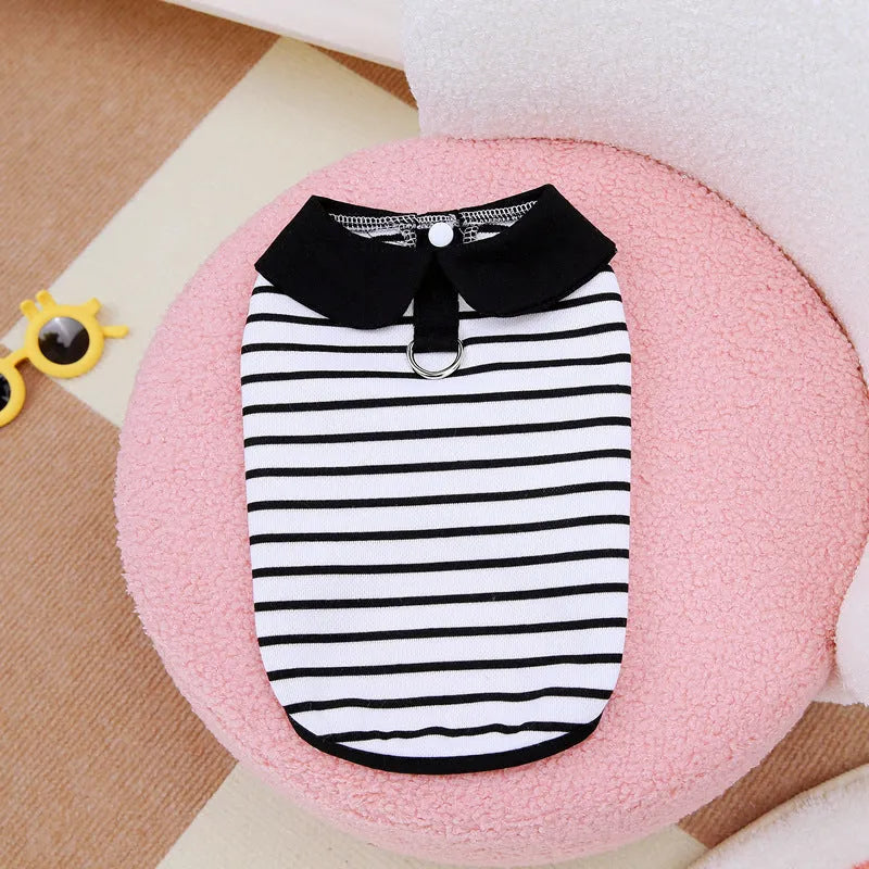 Pet wearing striped skirt and matching T-shirt summer outfit in casual cotton clothing