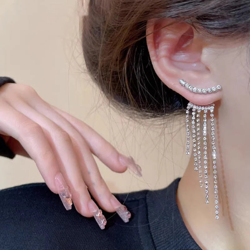 Elegant sterling silver long fringed zircon earrings for women