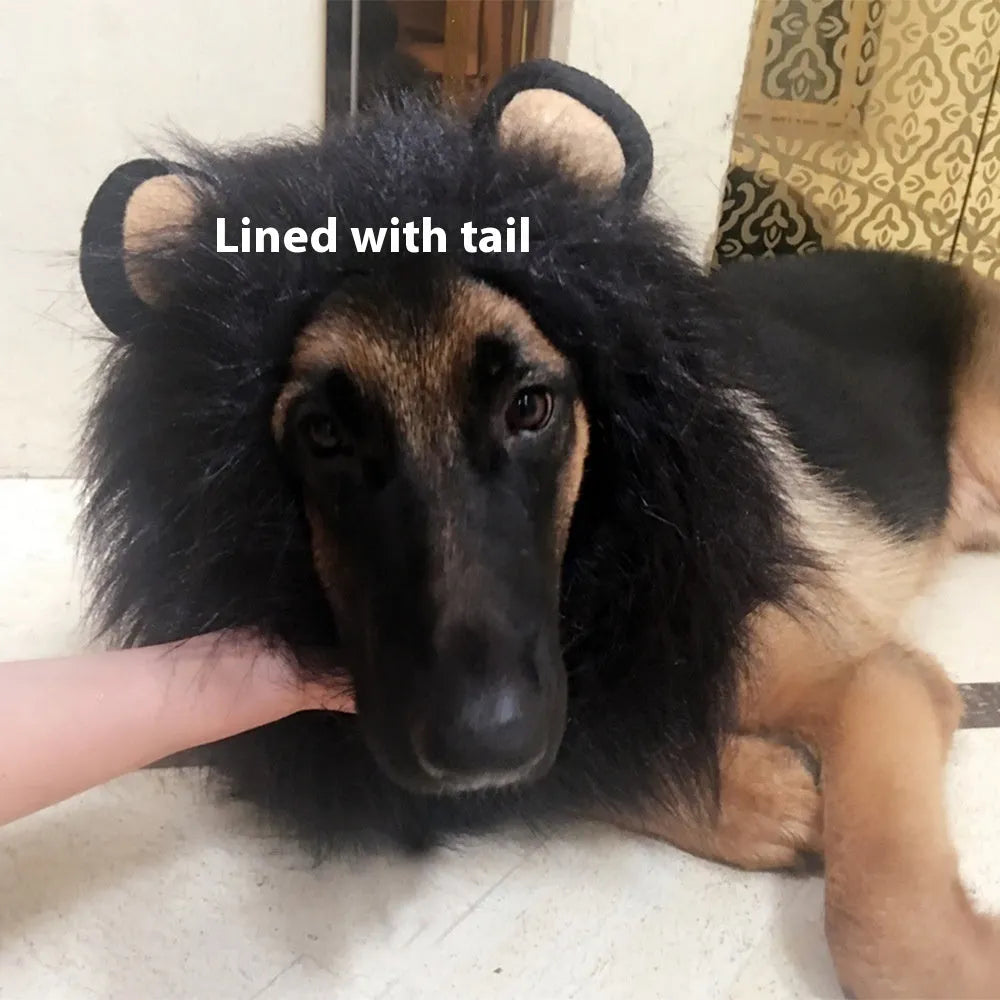 Dog wearing a lion mane headdress costume in light brown with an elastic neckband.