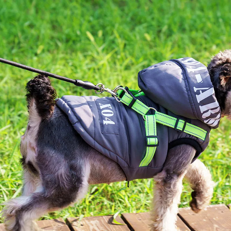 Red fleece-lined waterproof dog winter jacket with hood on a small dog