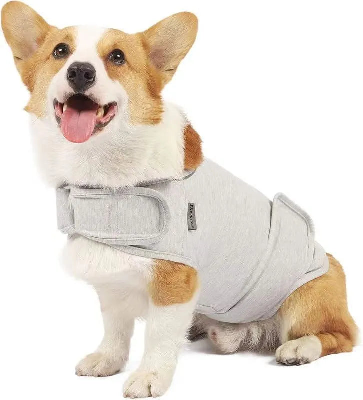 Dog wearing brown anxiety compression vest tank top for separation anxiety relief