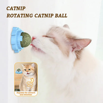 Lion-shaped molar cat toy in blue, orange, or pink colours with flavour options