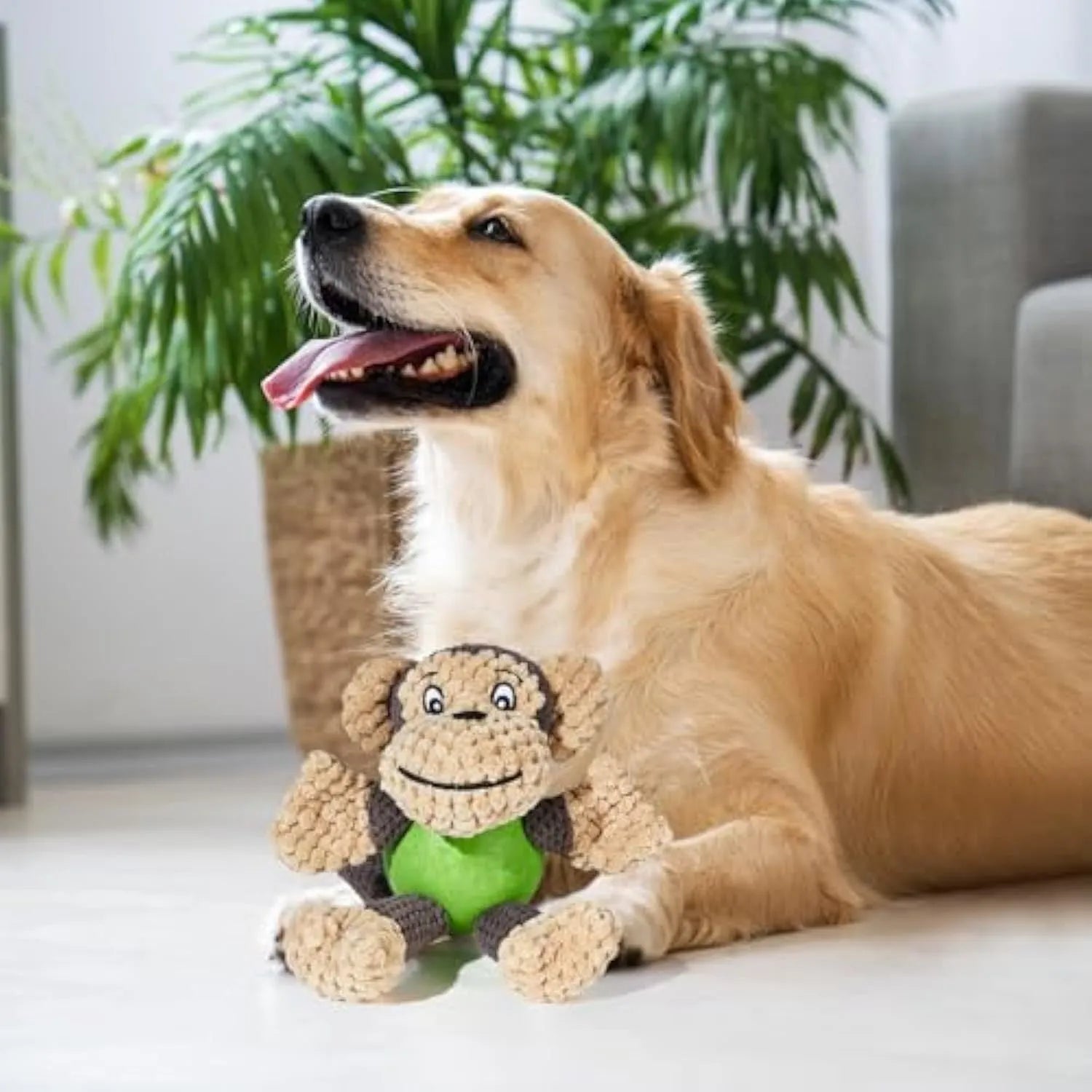 Cartoon monkey plush dog toy with squeakers for small medium dogs