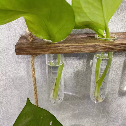 Creative Hydroponics Wall Hanging Vase with 15 test tubes in a wooden frame