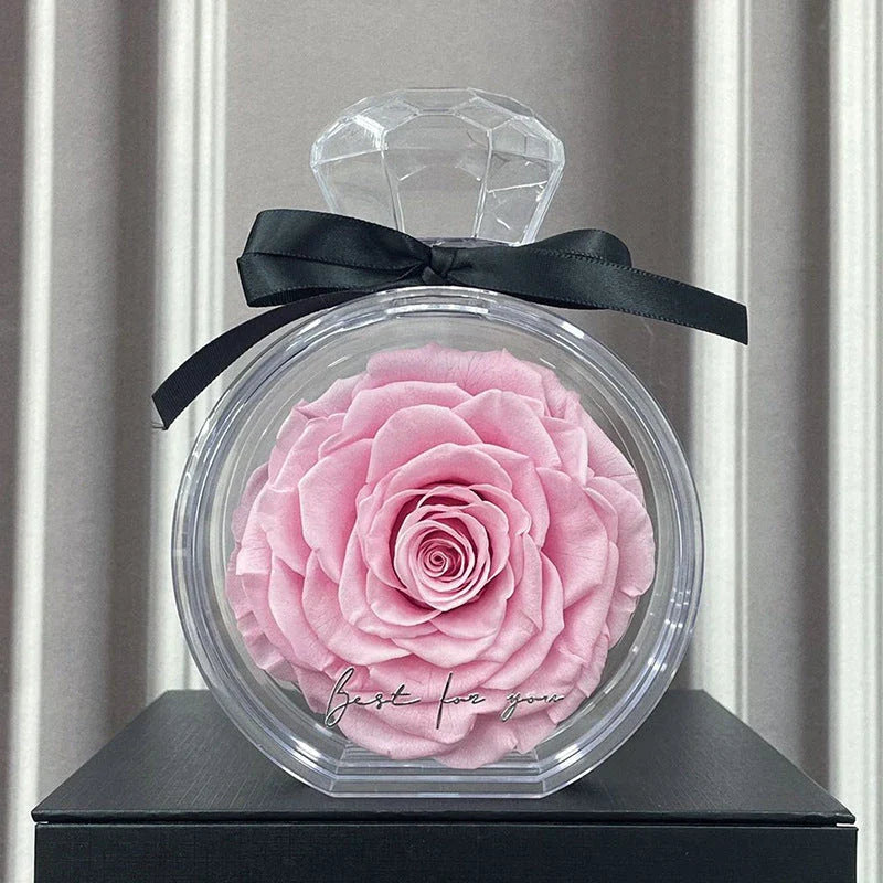 Preserved dried rose floral ornaments in a transparent display, available in various colors for home decor and special occasions