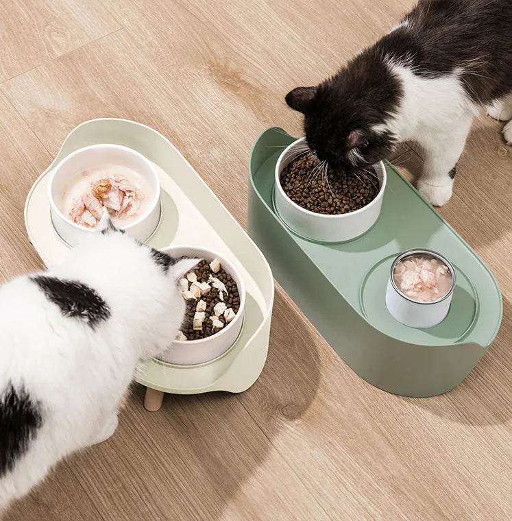 Tilted cat double bowls feeder with adjustable stainless steel stand and spill-proof design for cervical health support in dogs and cats, available in green or white for secure pet feeding at home