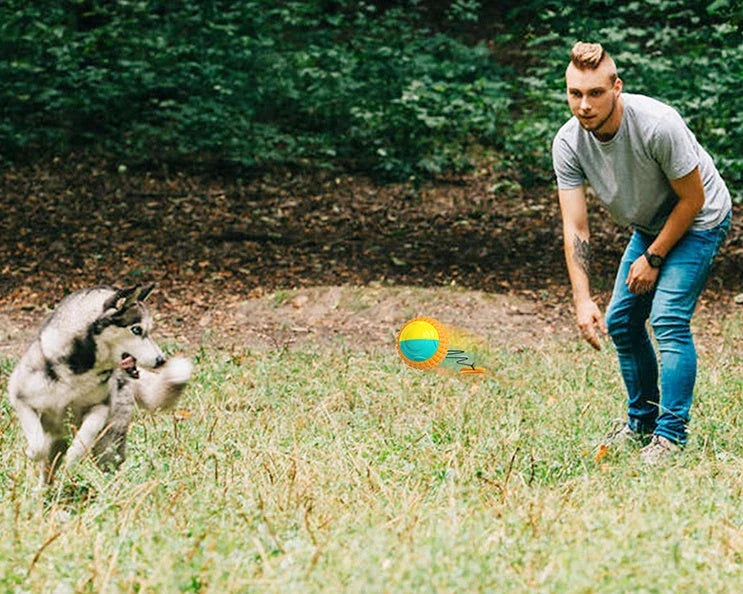 Interactive dog toy with retractable throwing ball, textured dental chew surface, and durable ABS construction