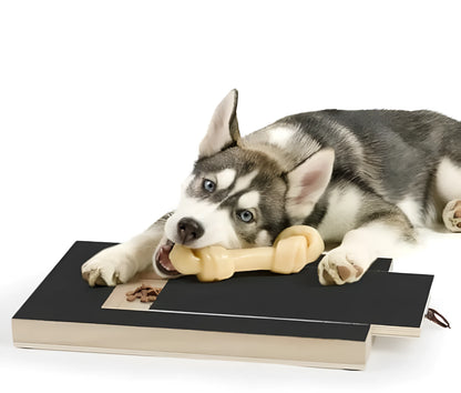 Wooden dog nail scratch board with treat drawer and four circular non-slip pads on base