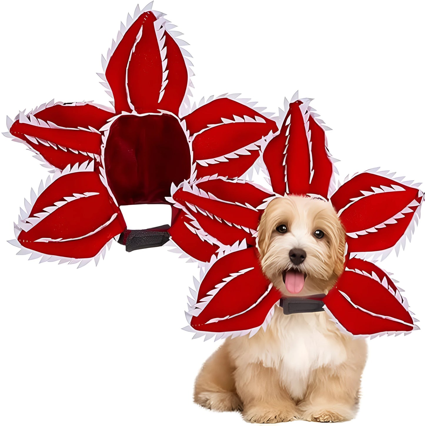 Medium-sized dog wearing a black demon hat and a colourful flower headband Halloween costume.