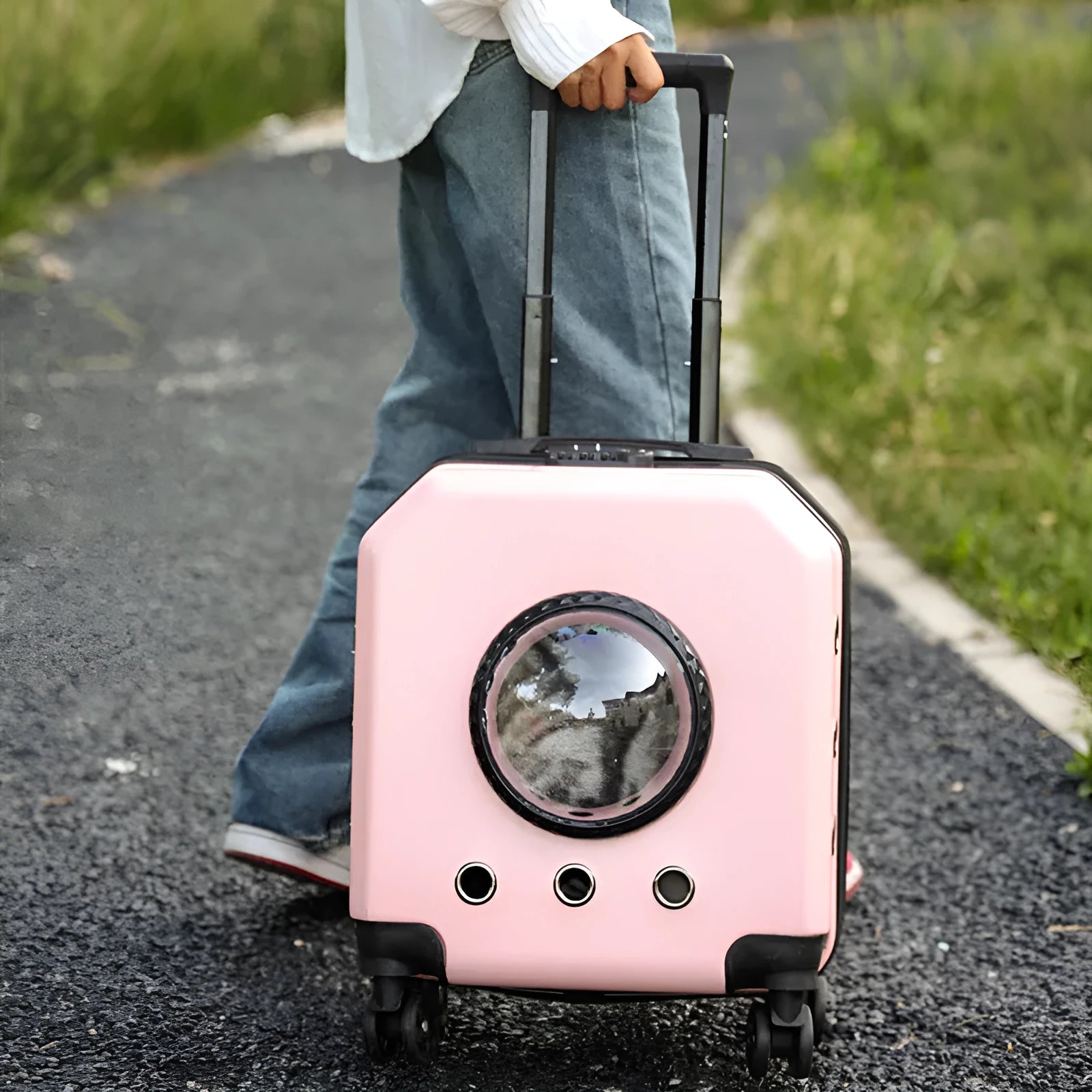 Hard PVC pet trolley flight case in orange colour with wheels and a pull handle.