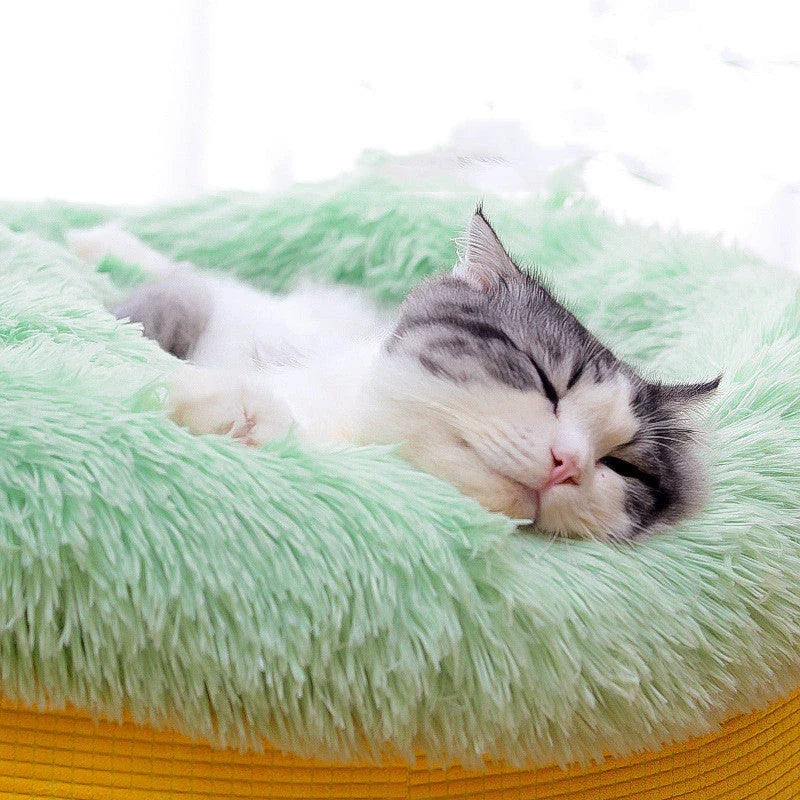 Cozy plush pet nest in a pineapple design, providing maximum comfort and warmth for your furry friend