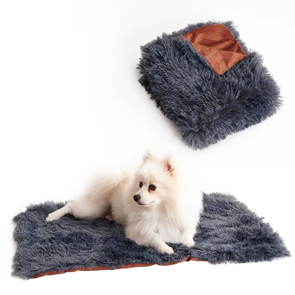 Light grey double-layer velvet plush pet blanket folded on a sofa next to a dog.