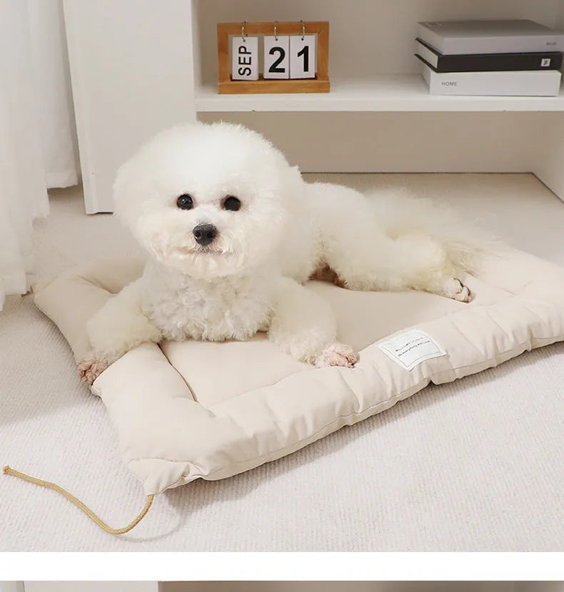 Beige cage cushion for dogs tied inside a metal crate, shown next to coffee and orange colour options.