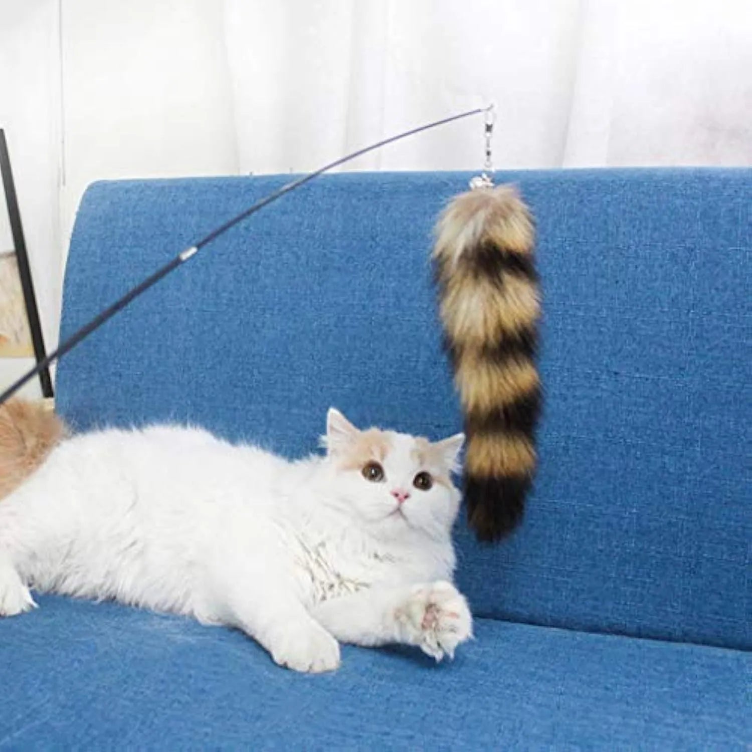 Black cat toy wand with a long elastic string and a feather teaser catcher for interactive play.