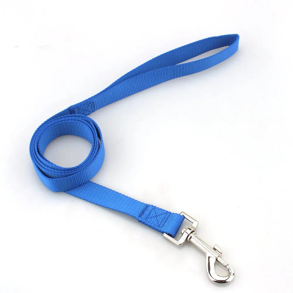 Solid colour polyester dog leash rope in hand, showing various width and colour options.