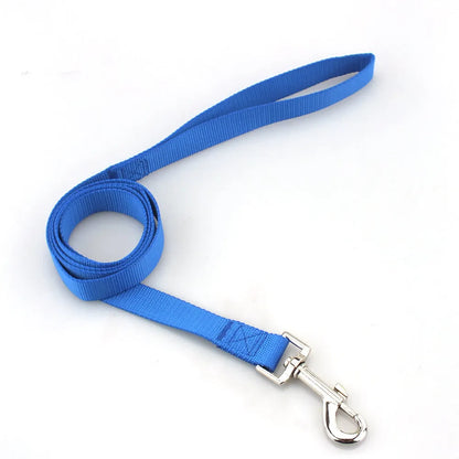 Solid colour polyester dog leash rope in hand, showing various width and colour options.