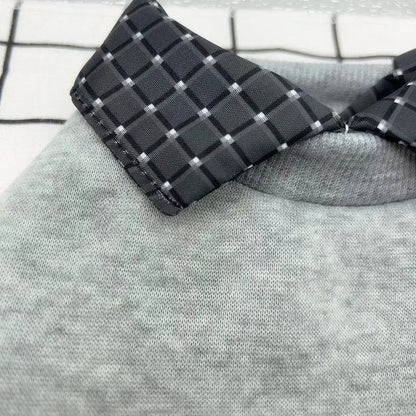 Two-piece dog sweater with detachable collar hoodie in thin velvet polyester fabric