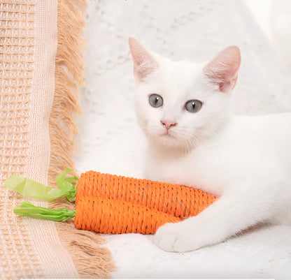 Set of four cat toys: ringing stones, paper carrots, batting sticks, and textured grinding sticks.