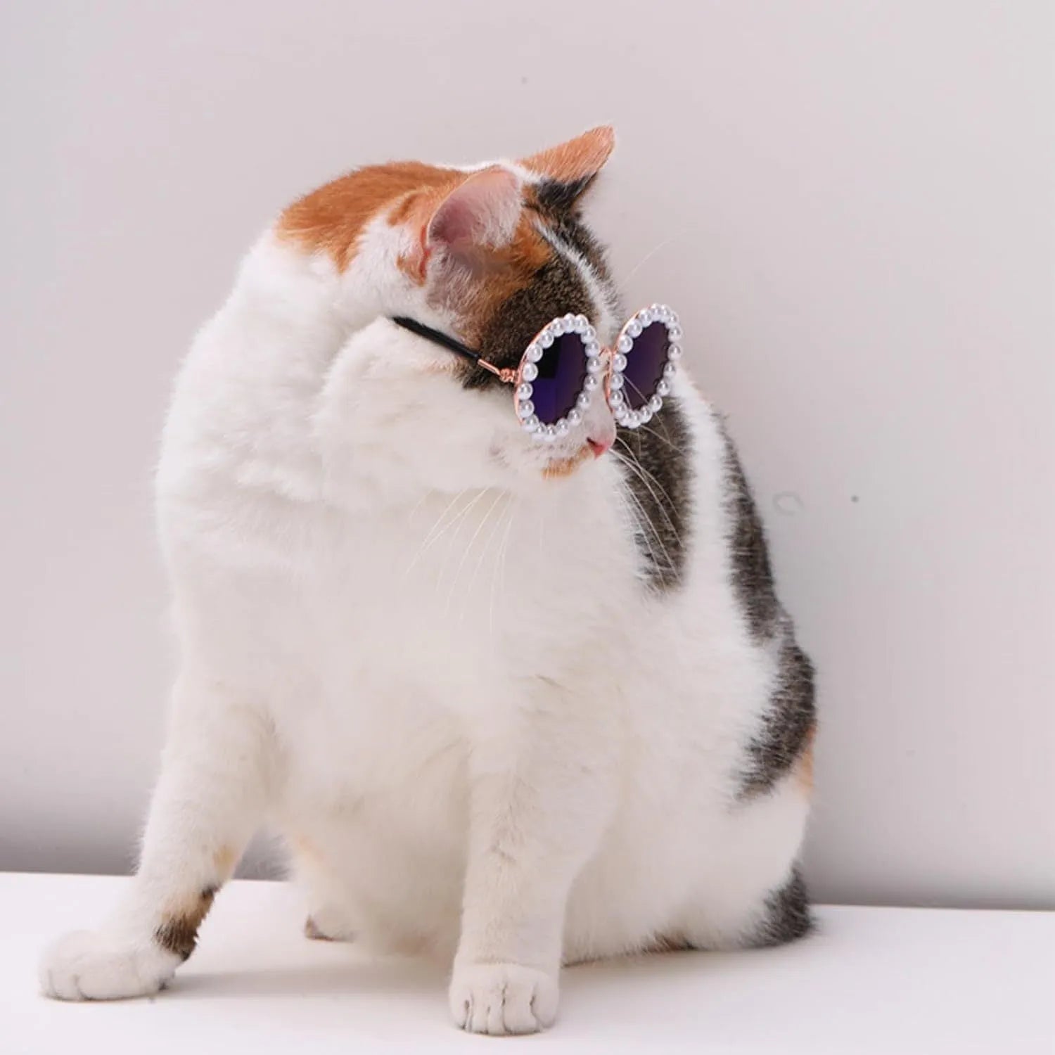 Pearl-trimmed round sunglasses for cats and dogs in five colour options