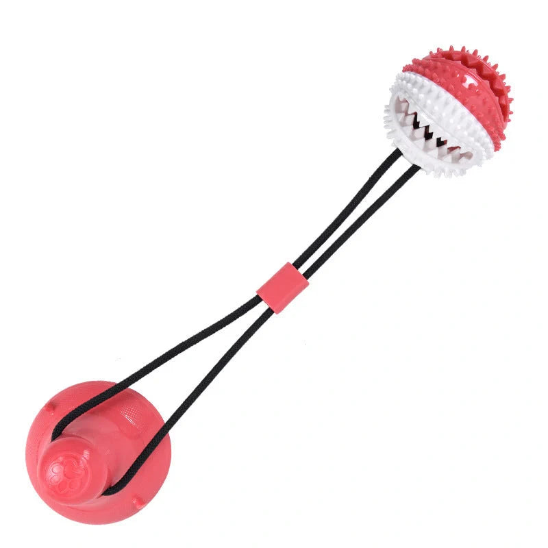 Durable suction cup molar toy for dogs, promoting dental health through chewing
