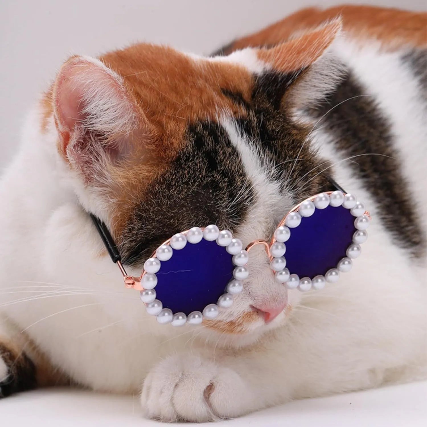 Pearl-trimmed round sunglasses for cats and dogs in five colour options