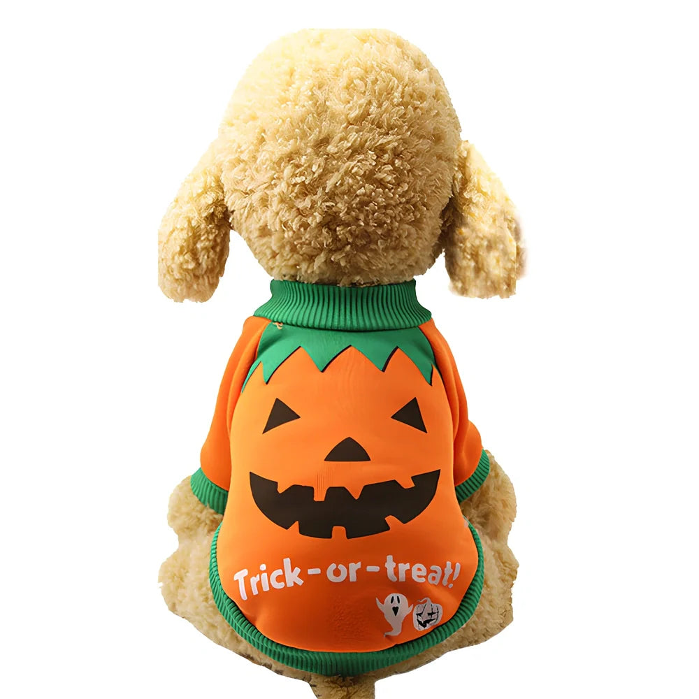 Halloween pet costume with pumpkin design on small cat, available in purple and yellow colours with multiple size options