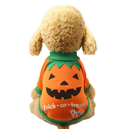 Halloween pet costume with pumpkin design on small cat, available in purple and yellow colours with multiple size options