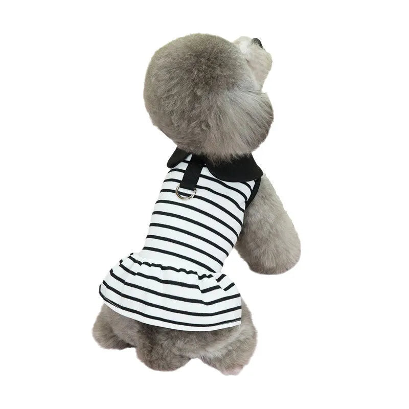 Pet wearing striped skirt and matching T-shirt summer outfit in casual cotton clothing