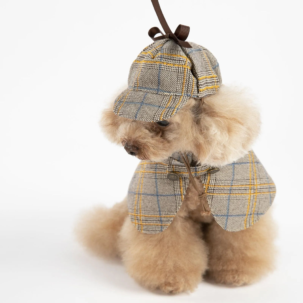 Camel coloured cotton pet cloak with adjustable hood shown in S to 3XL sizes