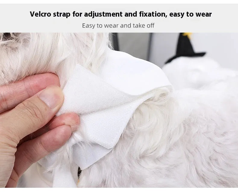 White pumpkin ghost Halloween costume suit for a dog on a mannequin