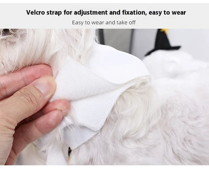 White pumpkin ghost Halloween costume suit for a dog on a mannequin