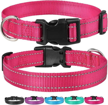Nylon adjustable dog collar with chest strap in multiple colour options on a white background