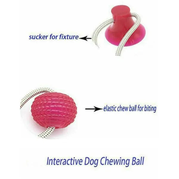 Dog biting sucker multifunction pet molar bite toy with rubber, TPR and cotton fibre rope in red, blue, green, orange or purple