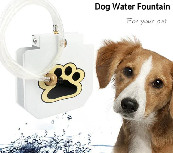 Automatic Dog Water Fountain with paw-activated water dispenser in a backyard setting