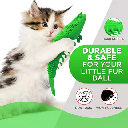 Blue hard rubber cat chew toy with catnip and a bell for dental care and interactive play.